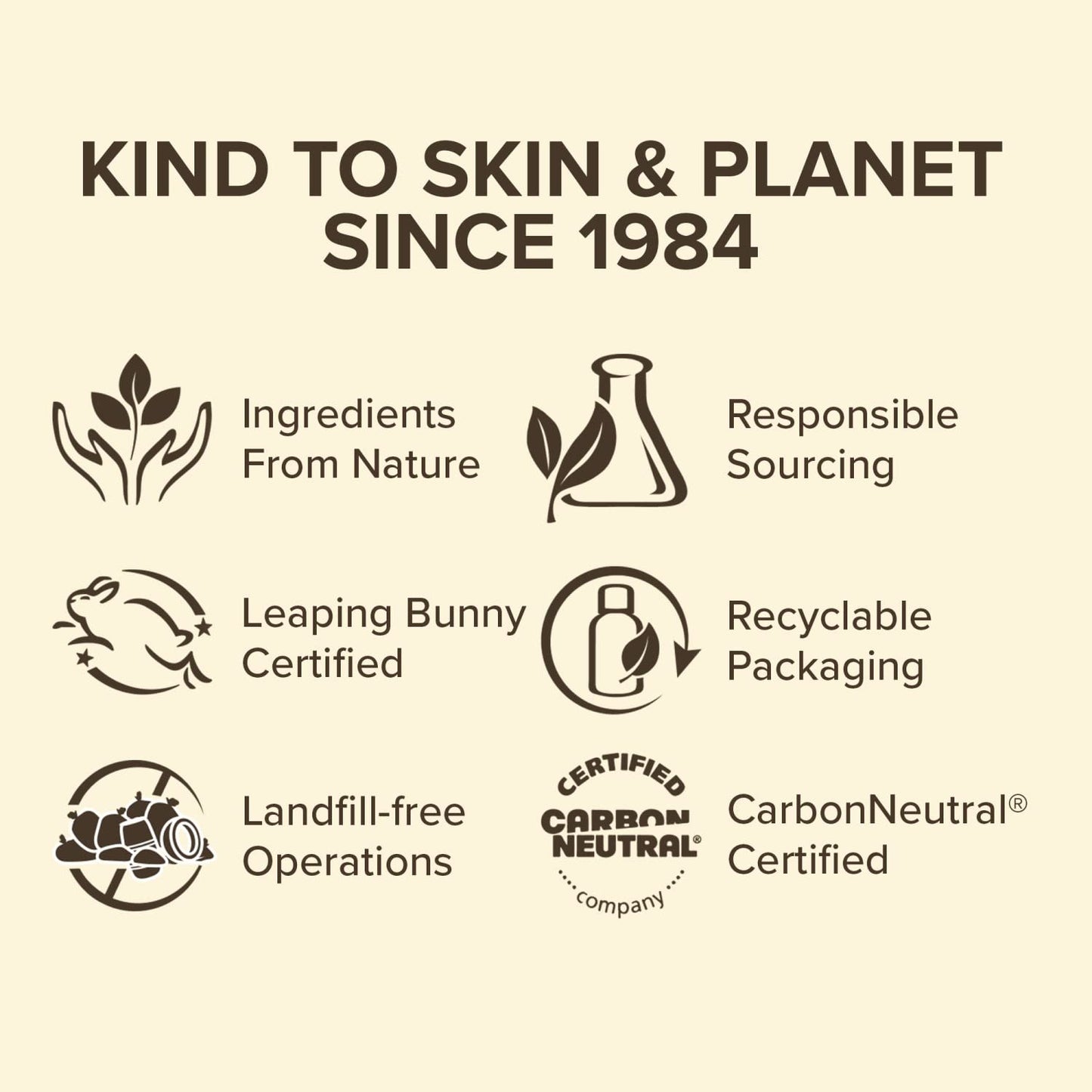 Burt's Bees Goodness Glows Tinted Moisturizer, Chestnut, 28.3 g (Pack of 1)