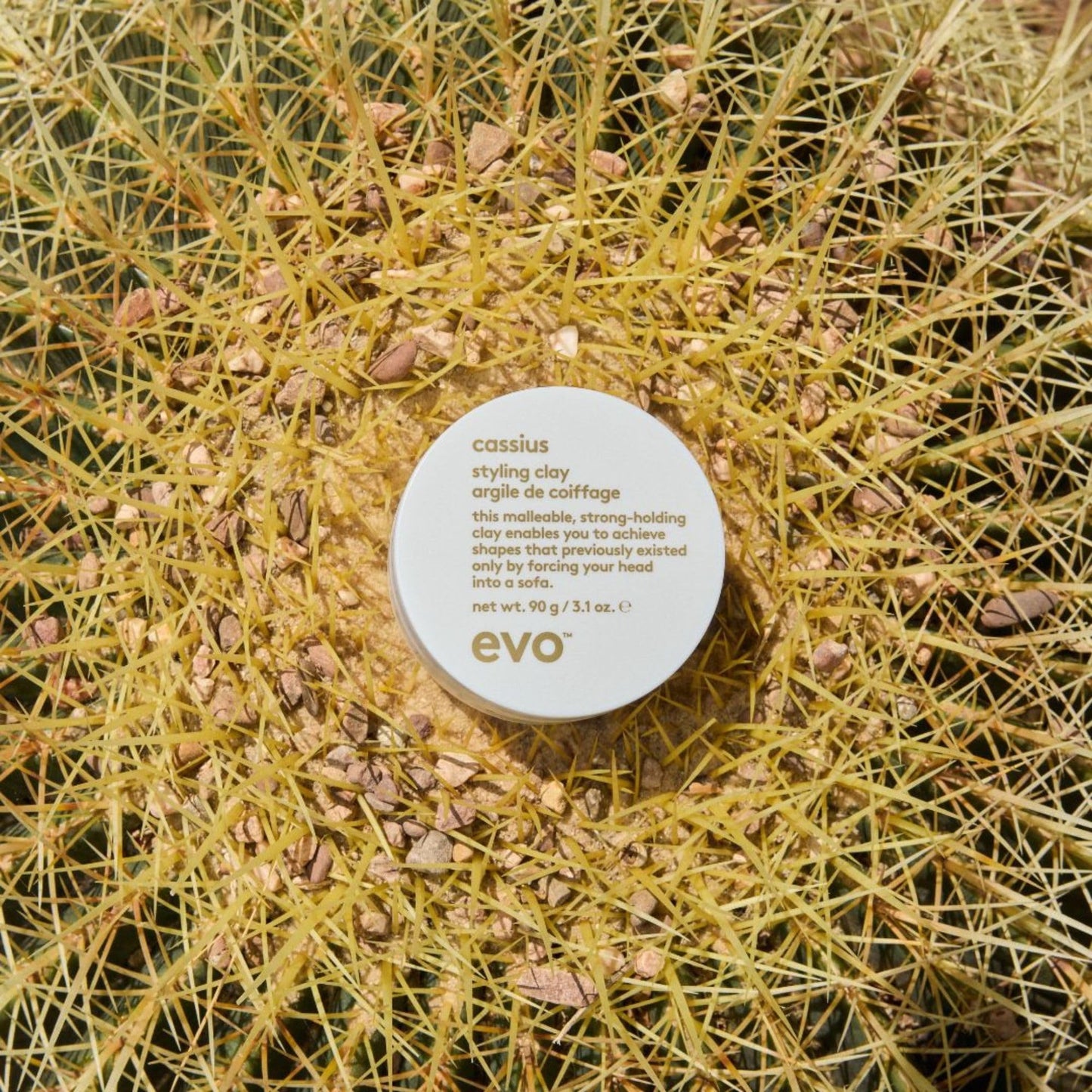 Evo Cassius Strong Hold Hair Clay for Men, Thick Hair, Matte, 90g